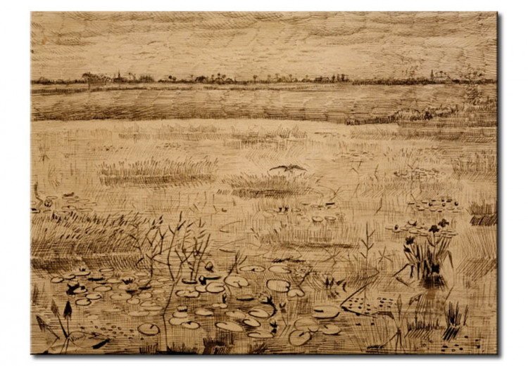 Reprodukcja obrazu Marsh with Water Lillies 52304