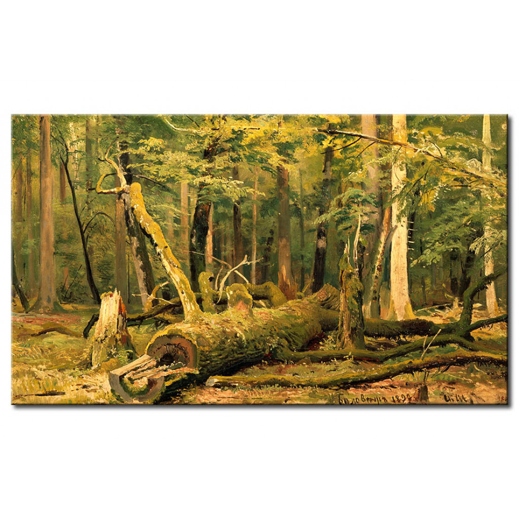 Schilderij  Ivan Ivanovitsj Sjisjkin: Felled Oak. Forest Of Belovegzskaya