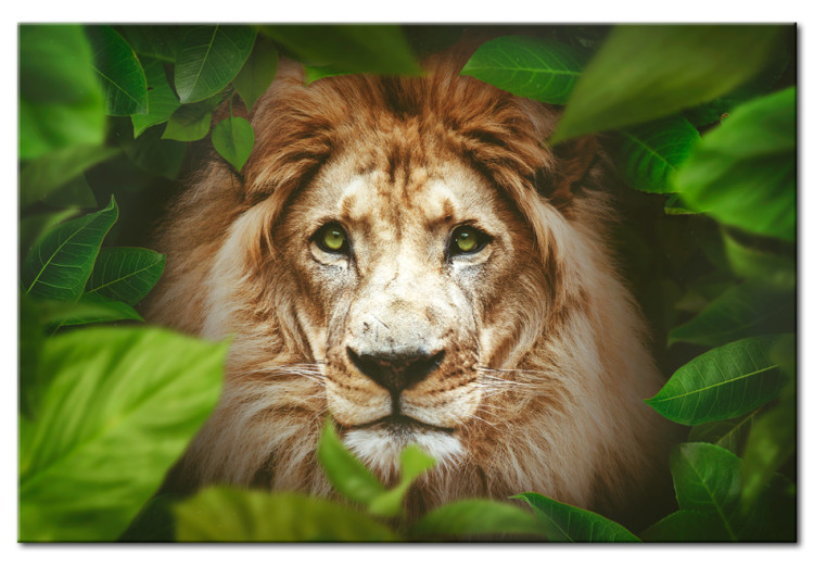 Wandbild Eyes of the jungle 56604