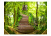 Wall Mural Mystery of the Forest - Imaginative Landscape with Stairs Surrounded by Trees 60504 additionalThumb 1