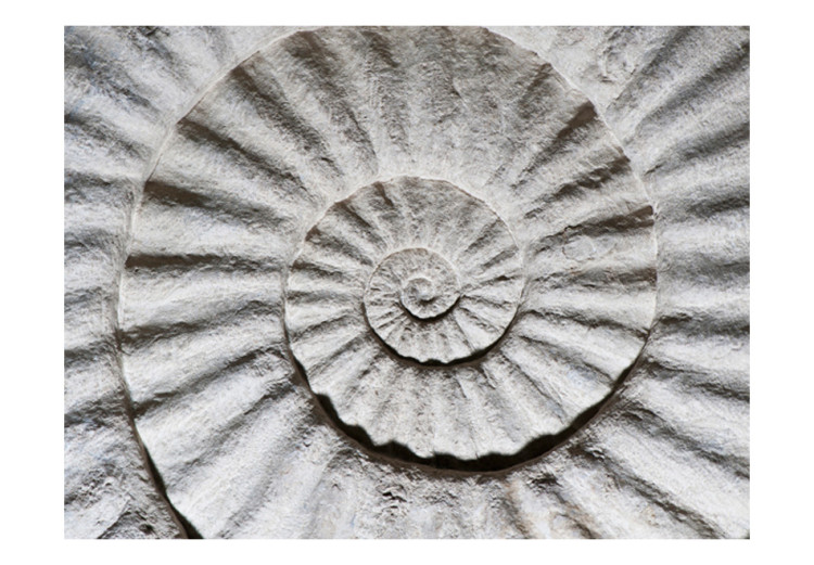 Carta da parati Ammonite di pietra -  disegno di conchiglia grigio-bianca 61004 additionalImage 1