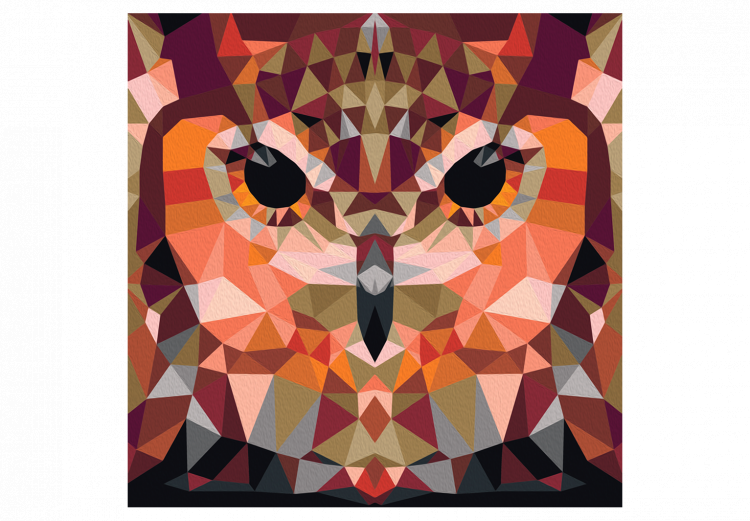 Måla med siffror Owl (Geometrical) 107514 additionalImage 7