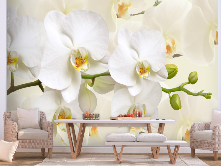 Fototapeta Gałązka orchidei - delikatna kompozycja ze zbliżeniem na białe kwiaty