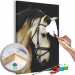 Desenho para pintar com números Horse Portrait  132314