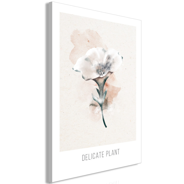 Canvas Delicate Plant (1 Part) Vertical 142414 additionalImage 2