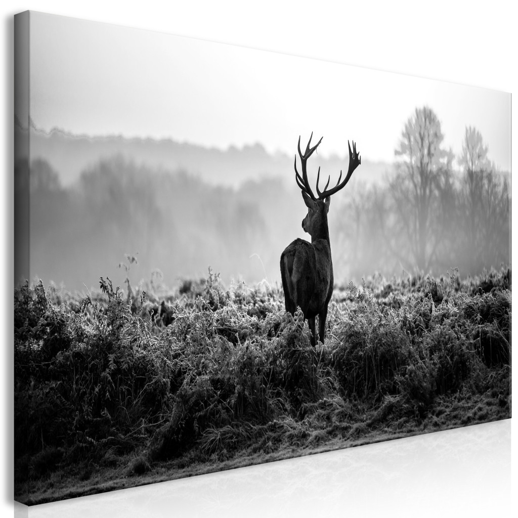 Deer In The Wild II [Large Format]