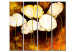 Wandbild Brennende Mohnblumen  48514