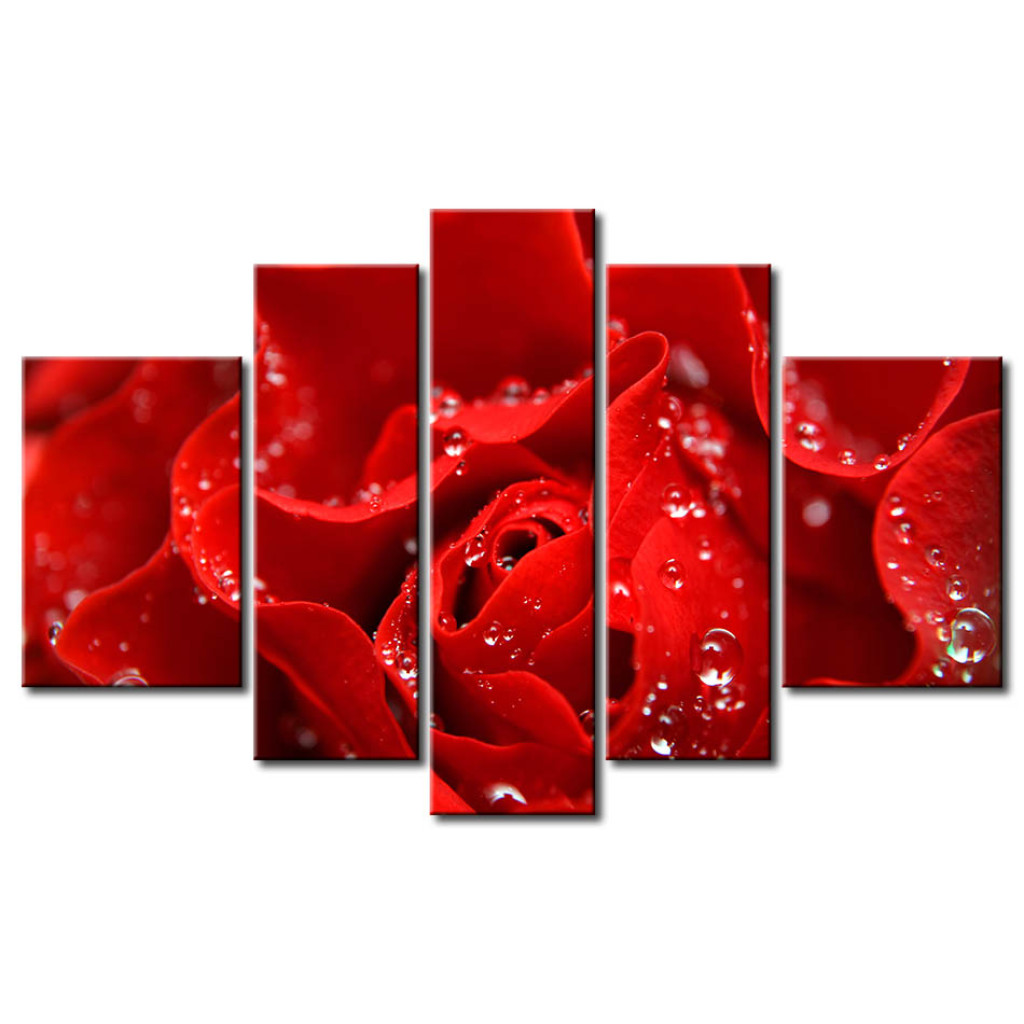 Obraz Pocałunek Czerwonej Róży