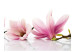 Carta da parati moderna Fior di magnolia 60414 additionalThumb 1