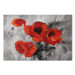 Canvas Print Steel Poppies  95014