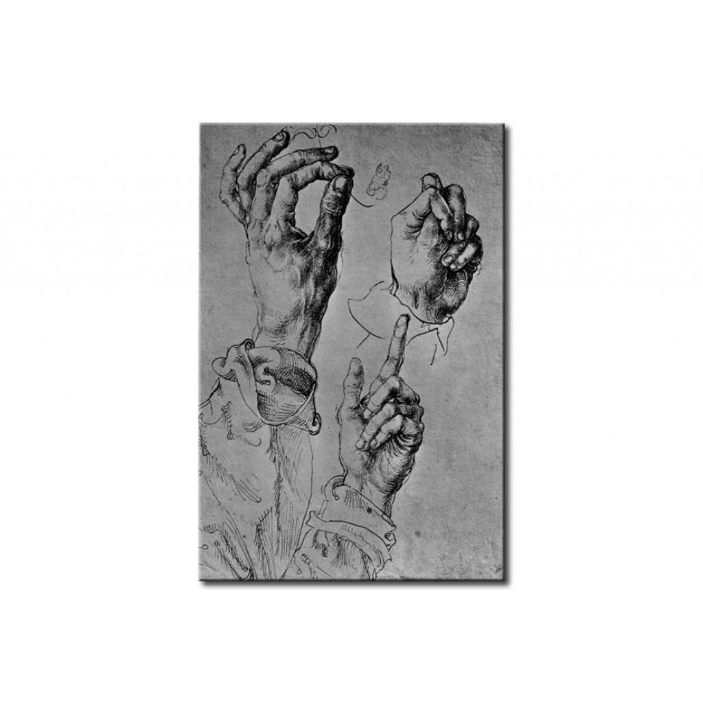 Schilderij  Albrecht Dürer: Study Of Three Hands