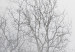 Obraz Drzewa we mgle (1-częściowy) pionowy 116524 additionalThumb 4