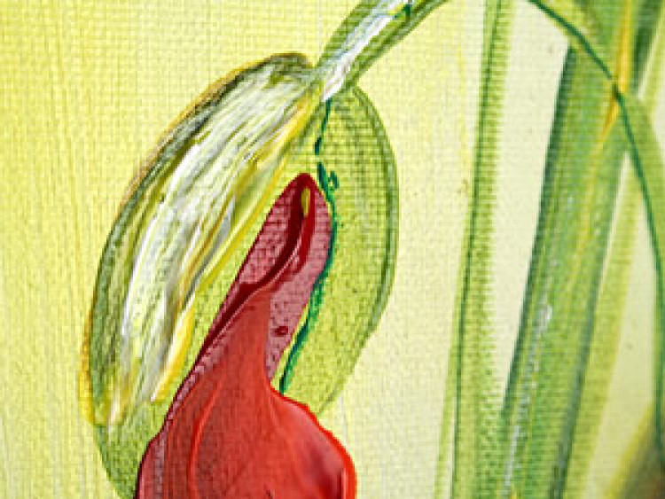 Bild auf Leinwand Mohnblumen (3-teilig) - Blumenwiese in saftigen Farben 48524 additionalImage 2