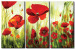 Quadro pintado Papoilas (3 peças) - campo de flores em cores vivas em um fundo claro 48524