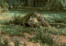 Copie de tableau La Forêt de chênes 53024 additionalThumb 2