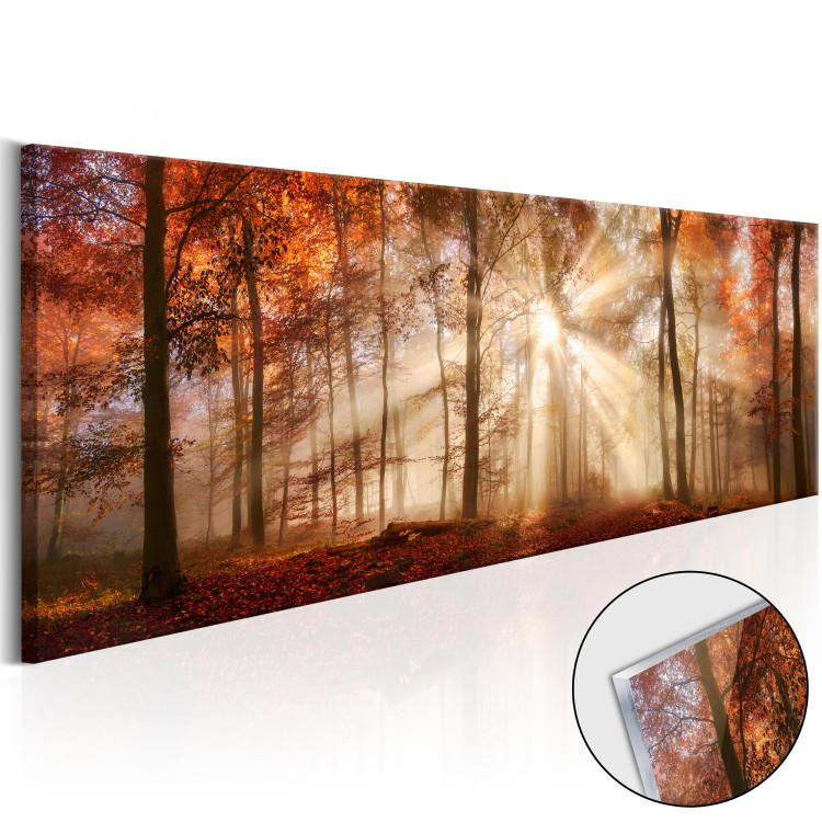 Acrylic Print Autumnal Dawn [Glass] 94224