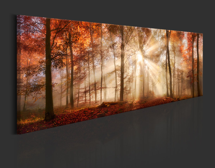 Acrylic Print Autumnal Dawn [Glass] 94224 additionalImage 4