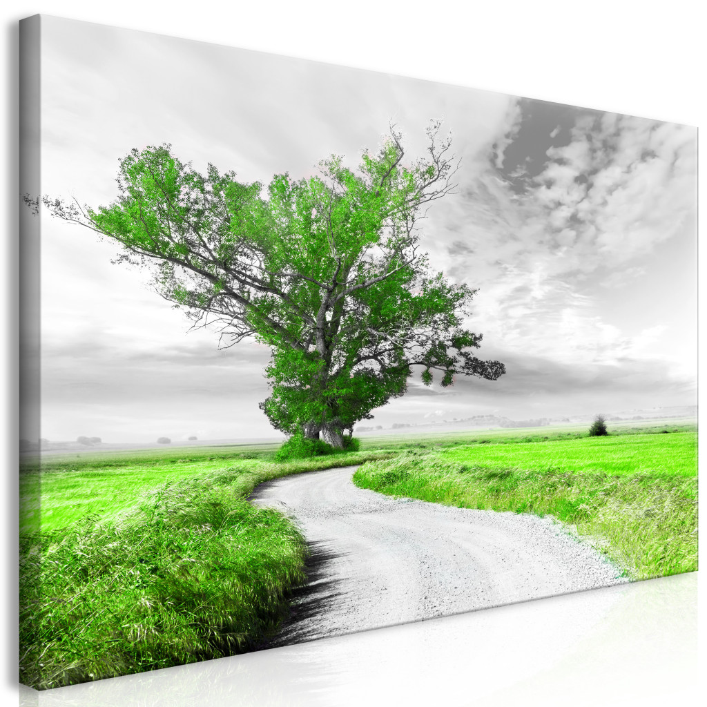 Duży Obraz XXL Drzewo Przy Drodze - Zielony II [Large Format]