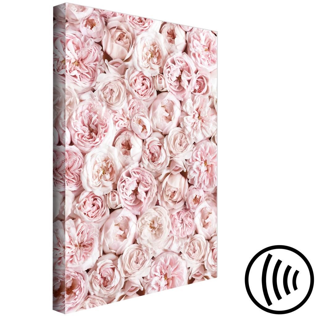 Tavla Carpet Of Roses - Rosor I Ljusrosa Blommor Sedda Ovanifrån