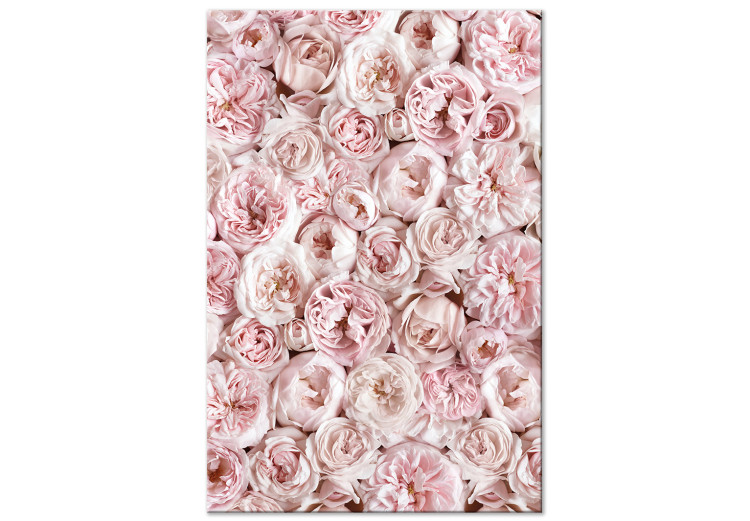 Canvas Rose Carpet - Carpet with pink flowers seen from above in pink color