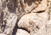 Plakat Hiszpańskie skały - widok przedstawiający wybrzeże stykające się z morzem 145234 additionalThumb 3