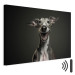 Canvas AI Greyhound Dog - Portrait of a Wide Smiling Animal - Horizontal 150234 additionalThumb 8