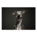 Canvas AI Greyhound Dog - Portrait of a Wide Smiling Animal - Horizontal 150234