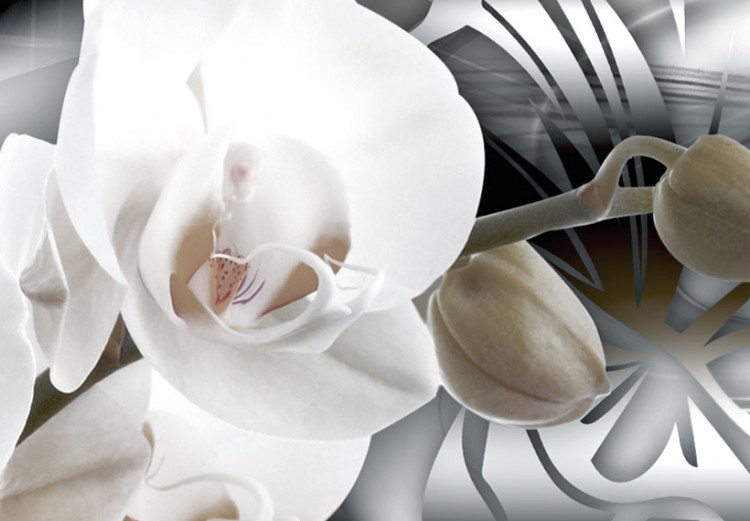 Wandbild Orchids suffused with platinum 50134 additionalImage 5