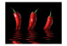 Wall Mural Spicy Flavours - Chili Pepper Emerging from Water with Reflection 59834 additionalThumb 1