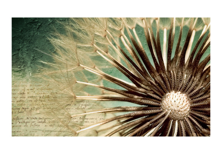 Wall Mural Summer Story - Macro Shot of a Dandelion on a Decoupage-like Background 60334 additionalImage 1