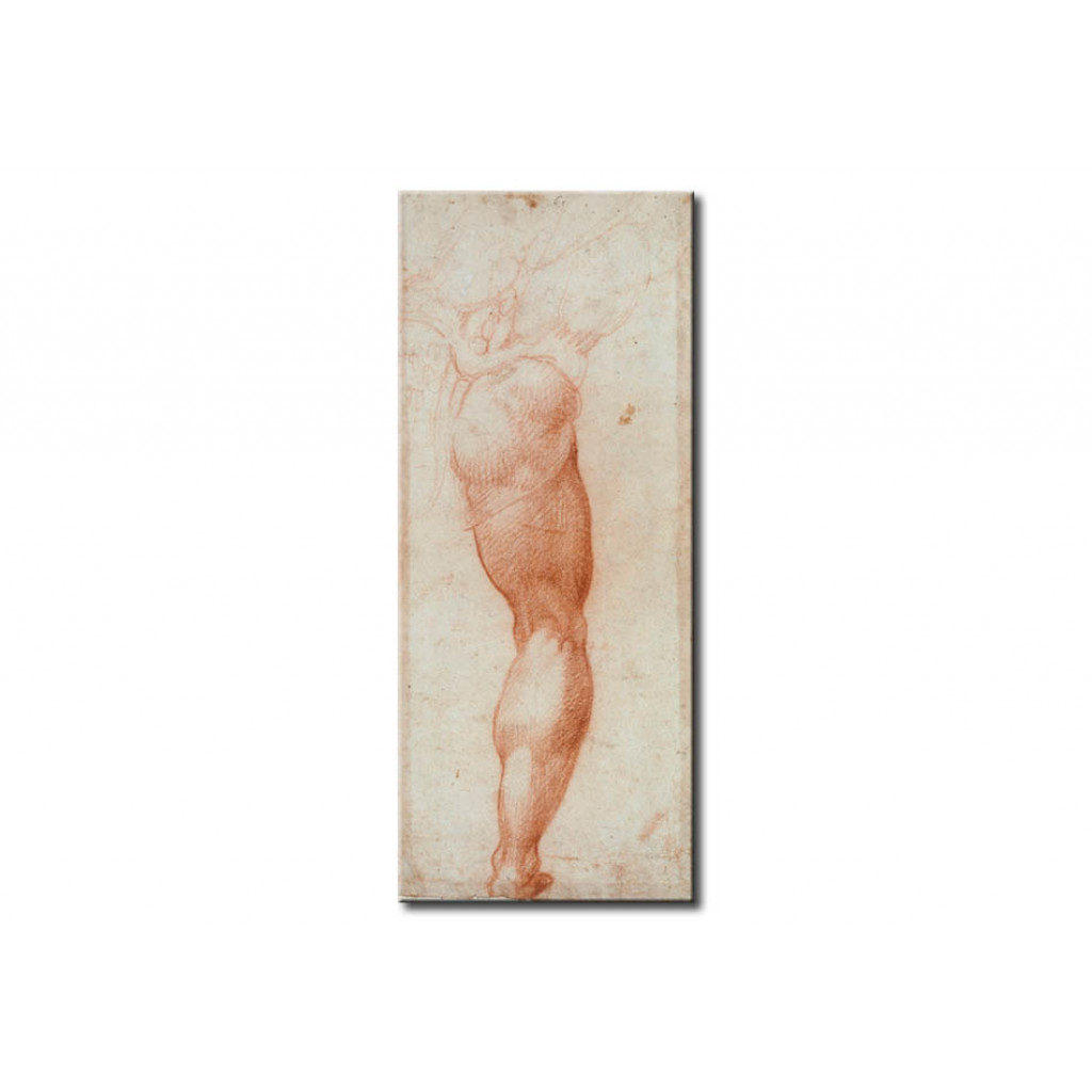 Schilderij  Agnolo Bronzino: A Man's Right Leg, Seen From Behind