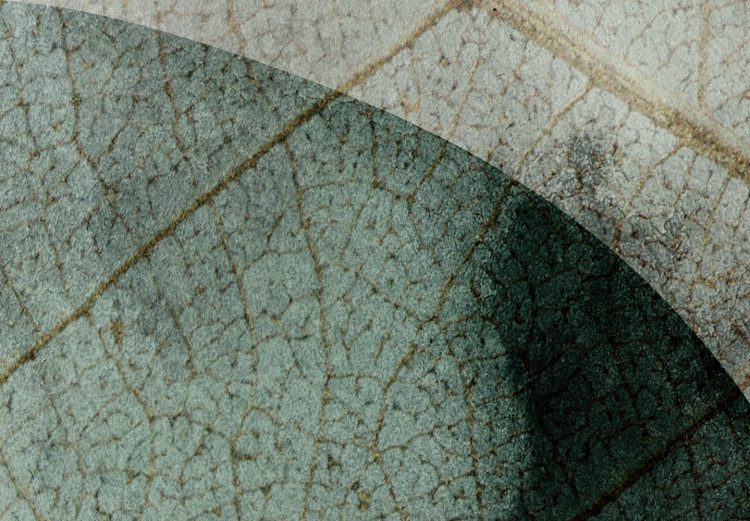 Obraz Dwa duże liście - abstrakcyjne motywy roślinne na beżowym tle 127444 additionalImage 5