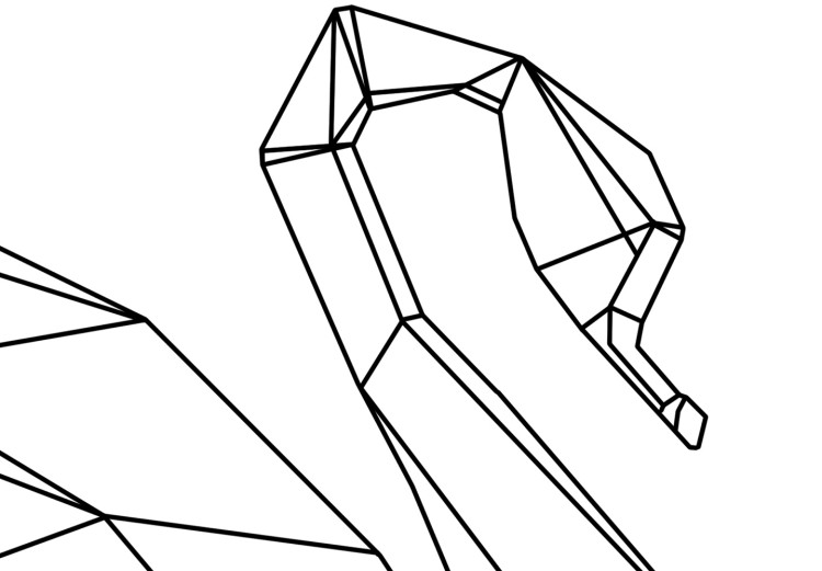 Obraz Czarne kontury płynącego łabędzia - biała, geometryczna abstrakcja 128044 additionalImage 4