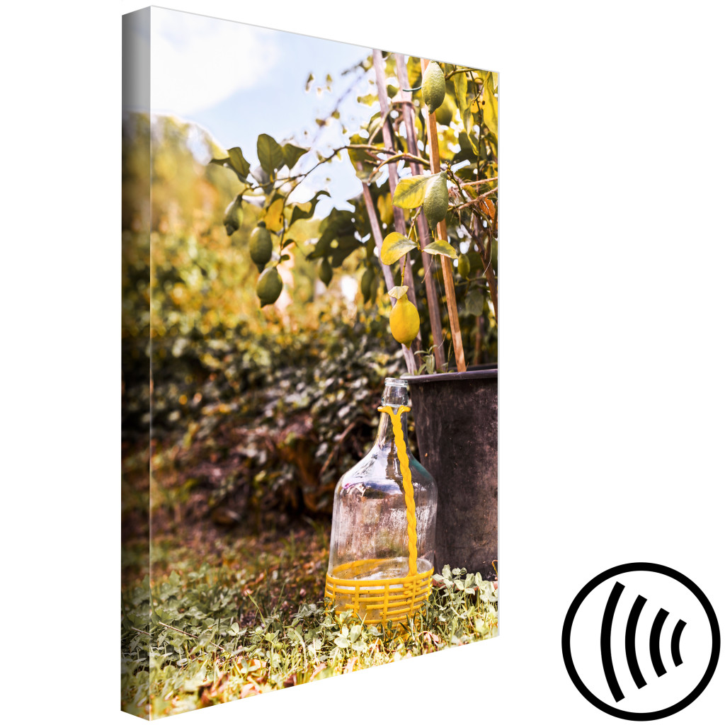 Obraz Cytrynowy Sad - Fotografia Włoskiego Ogrodu Z Drzewkiem Cytrynowym