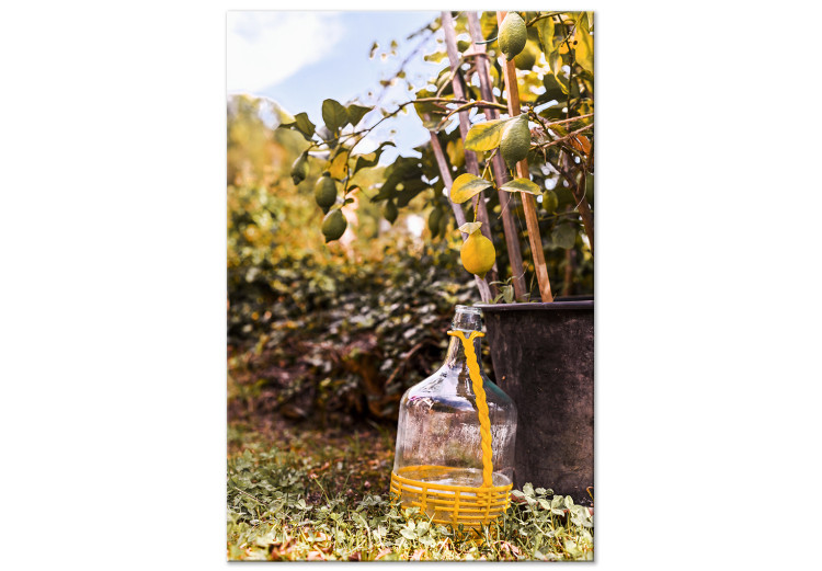 Quadro em tela Pomar de limoeiros - foto de um jardim italiano com um limoeiro