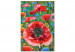 Paint by number Colorful Poppies - Blooming Flowers on a Joyful Decorative Background 144144 additionalThumb 3
