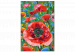Paint by number Colorful Poppies - Blooming Flowers on a Joyful Decorative Background 144144 additionalThumb 4