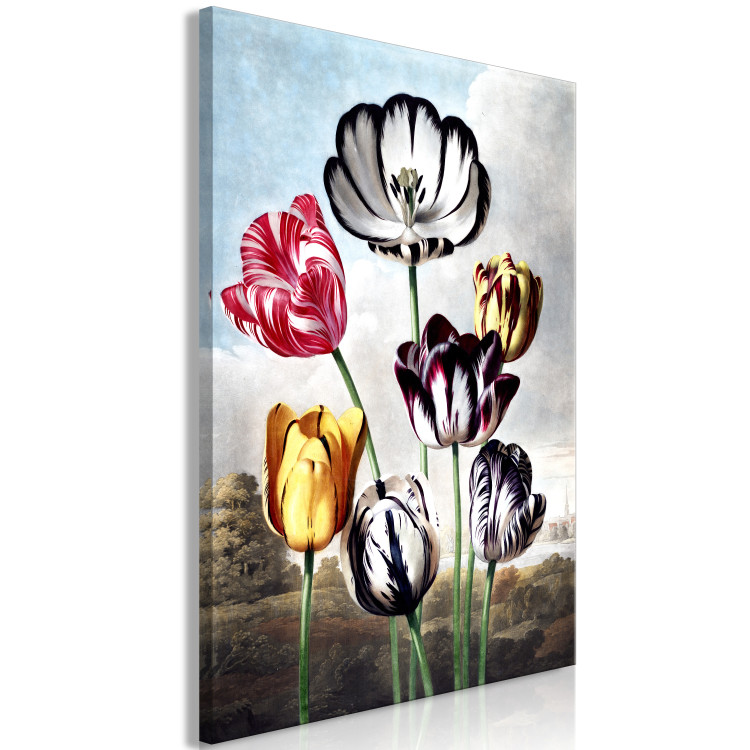 Quadro moderno Wonders of Nature - Spring Landscape With Colorful Tulips 149744 additionalImage 2