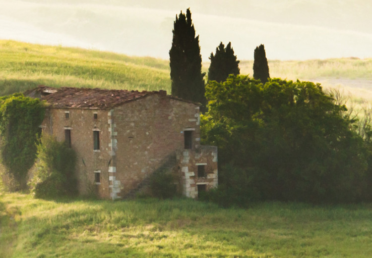 Tableau tendance Tuscany landscapes 50444 additionalImage 5