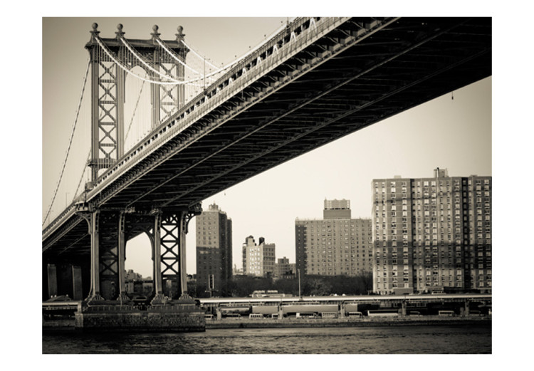 Mural Ponte de Manhattan, Nova Iorque 61644 additionalImage 1