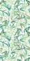 Tapeta Zielone liście - natura 89444