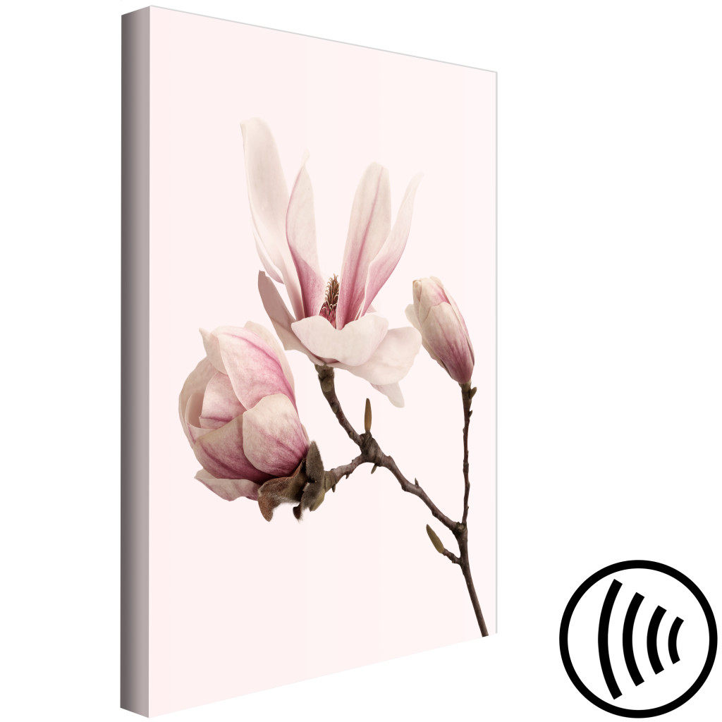 Schilderij  Magnolias: Symbool Van De Lente (1-delige Serie) - Magnoliabloem In Een Roze Natuurlijke Tint