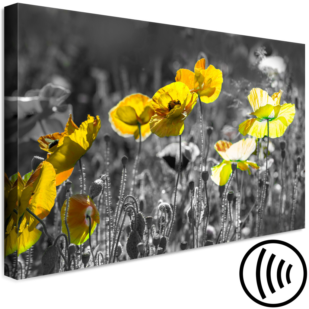 Obraz Kontrast Natury (1-częściowy) - Wiosenna łąka Kwitnących Maków