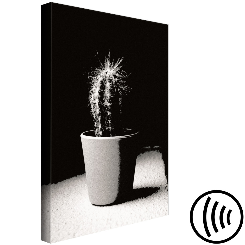 Schilderij  Andere Bloemen: Cactus In Een Pot Op Tafel - Zwart-wit Foto