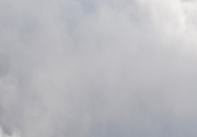 Fototapeta Widoki z okna samolotu - krajobraz gęstych białych chmur w niebie 135054 additionalImage 4