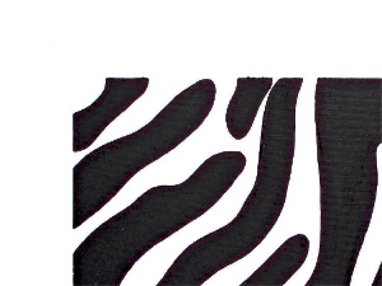 Tableau sur toile Rayures de zèbre (3 pièces) - Abstraction minimaliste en noir et blanc 46854 additionalImage 2