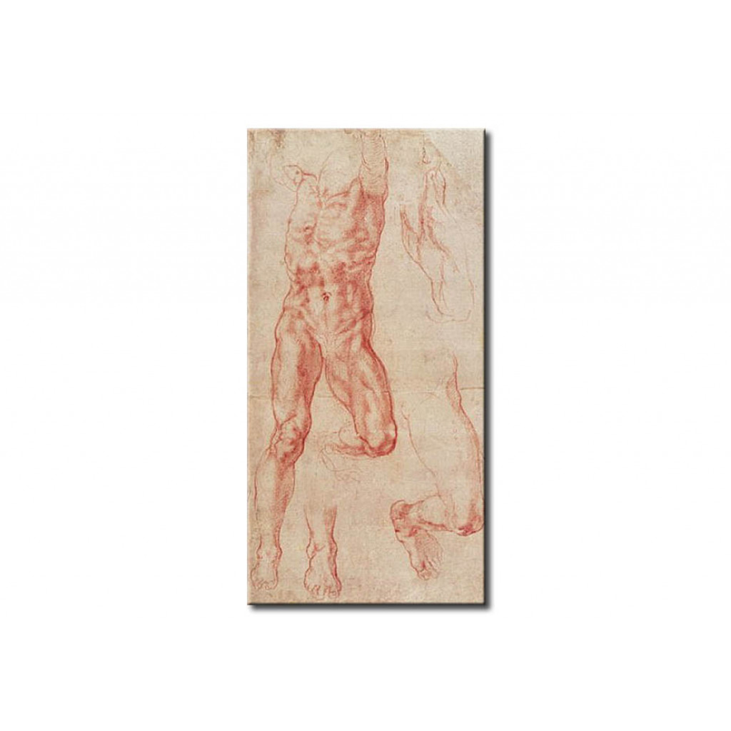 Reprodução De Arte   Study Of A Crucified Man (Haman) With Separate Leg And Foot Studies