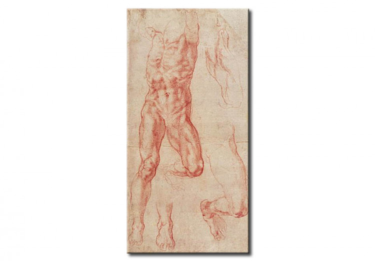 Quadro famoso   Study of a crucified man (Haman) with separate leg and foot studies 54854