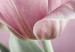 Quadro su tela Romantic Tulips 91654 additionalThumb 4