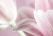 Quadro su tela Romantic Tulips 91654 additionalThumb 5
